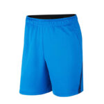 Training Shorts